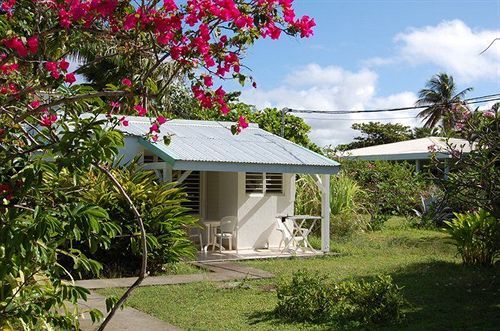 Le Grand Large Plage Sainte-Anne  Exterior photo